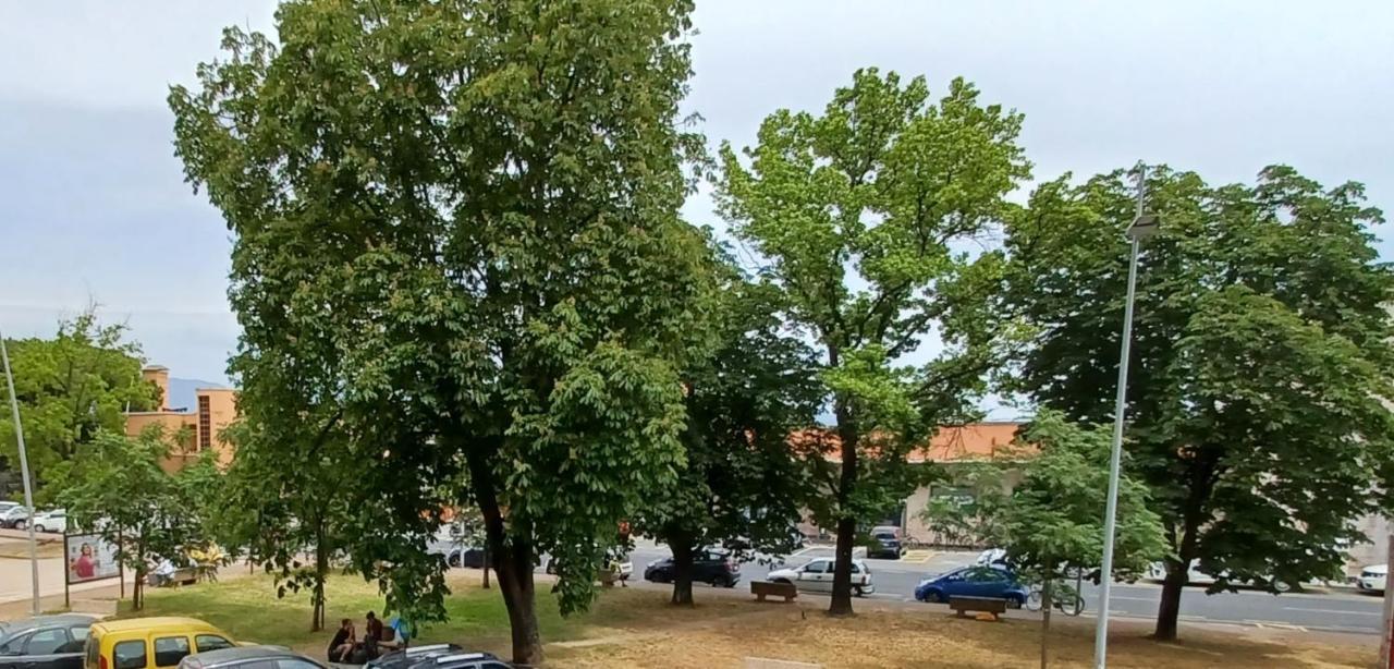 Luminosissimo Appartamento Viareggio Centro المظهر الخارجي الصورة